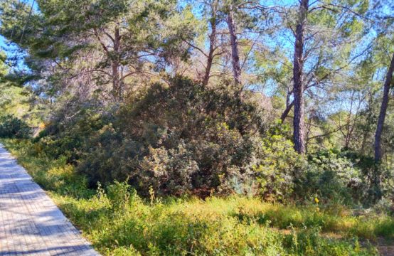 Grundstück 1500m2 in Paguera 300 Meter vom Strand | Ref.: 13029