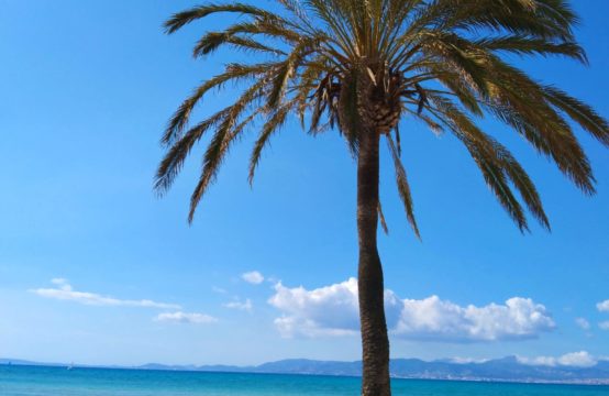 Grosszügige Villa, 400 Meter von Playa de Palma zum sanieren  | Ref.: 13239