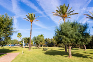 Golfen auf Mallorca