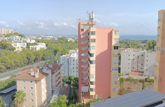 Zu verkaufen Studio-Apartment in Cala Major | Ref.: 13413