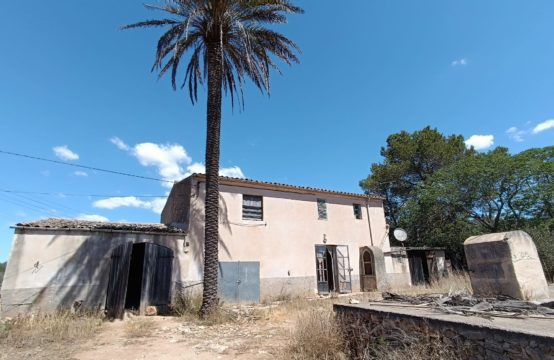 Finca mit einem Grundstück von 48.000 m2 | Ref.: 13594