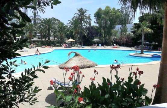 Schönes, gemütliches Studio-Apartment in Port Alcudia | Ref.: 13726